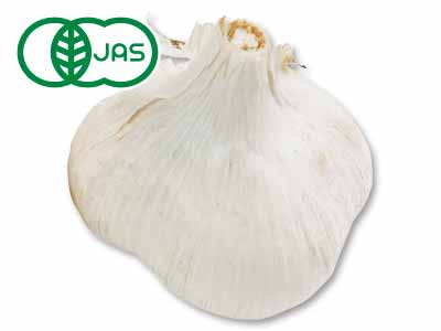 青森の有機にんにく　1コ写真