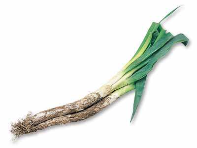 あまトロ深谷ねぎ 300G写真