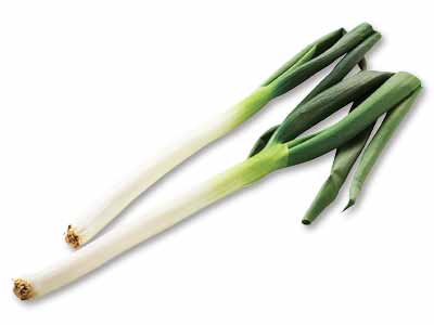 青葉から白根まで美味!冬季限定岩津ねぎ 280G写真