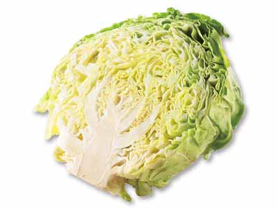 三河の潮風キャベツ（栽培期間中節減対象農薬不使用）　1／2コ写真