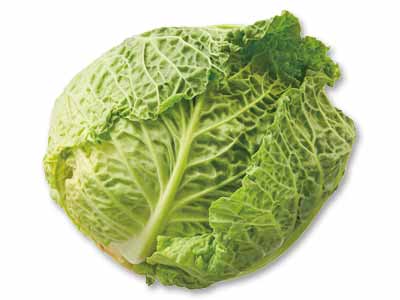 フランス生まれの冬限定の味・サボイキャベツ 1コ写真