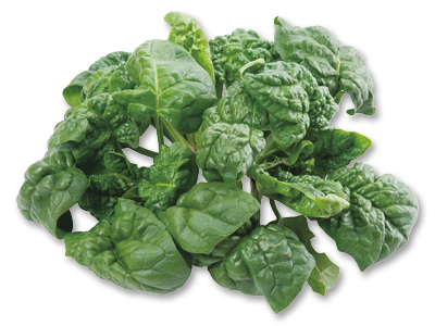 寒ちぢみほうれんそう（栽培期間中節減対象農薬不使用）　200G写真