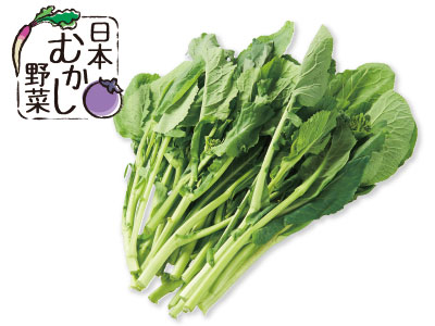 日本むかし野菜・春の菜っぱ（栽培期間中節減対象農薬不使用）　200G写真