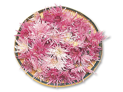 もってのほか（食用菊）　50G写真