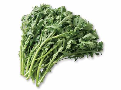 春菊(栽培期間中節減対象農薬不使用) 100G写真