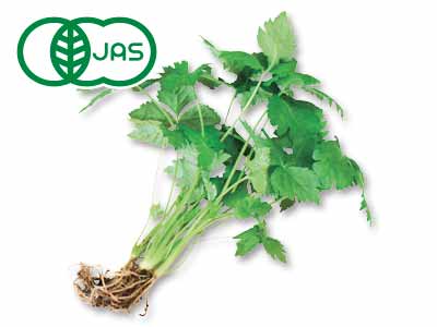 有機みつば 30G写真