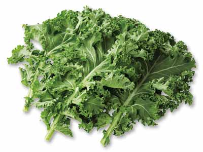 地中海野菜カーリーケール（栽培期間中節減対象農薬不使用）　70G写真