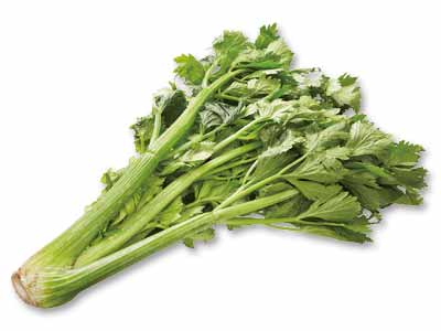 三河の潮風グリーンセロリ（栽培期間中節減対象農薬不使用）　800G写真