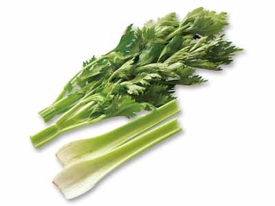 三河の潮風グリーンセロリ(栽培期間中節減対象農薬不使用) 200G写真