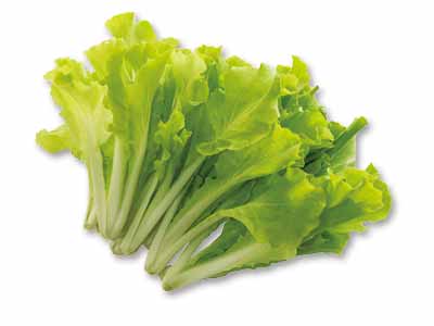 若草色のやわらかべか菜（栽培期間中節減対象農薬不使用）　200G写真