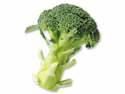 三河の潮風ブロッコリー(栽培期間中節減対象農薬不使用) 1コ写真
