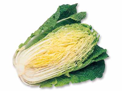 ぎゅっと凝縮甘み白菜　1／2コ写真