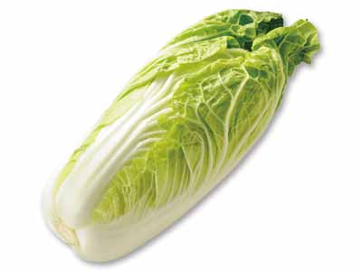さんぶの食べきりミニ白菜(栽培期間中節減対象農薬不使用) 1コ写真
