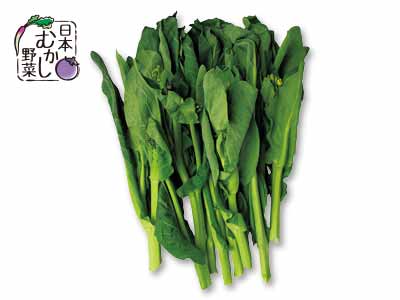 日本むかし野菜写真