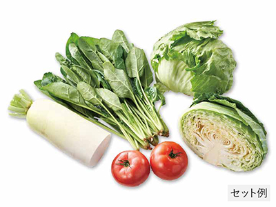 寒暖差がおいしさの秘訣 夏の高原野菜セット写真