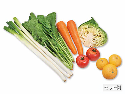 畑まるごと野菜セット・5選+果物写真
