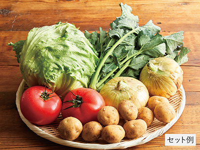 新物も！春爛漫野菜セット写真