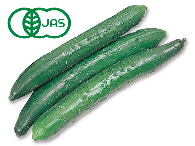 夏野菜] 四葉きゅうり 2パック（約400g×2） 冷蔵便 : 築地魚群