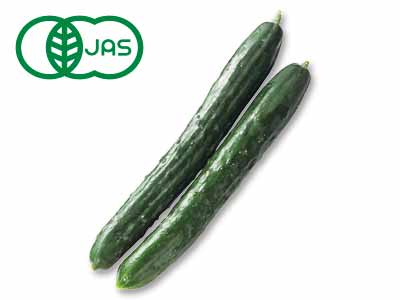 有機きゅうり 200G写真