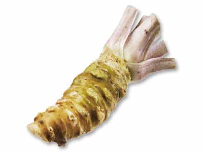 伊豆わさび田の生わさび　1本写真