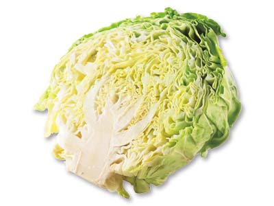 三浦のふんわり春キャベツ　1／2コ写真