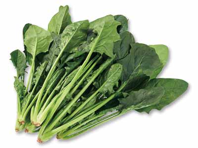 川越育ちのめちゃ甘ほうれんそう(栽培期間中節減対象農薬不使用) 200G写真