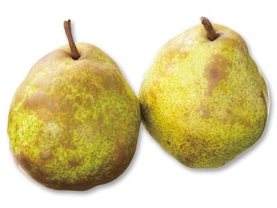 ラ・フランス(洋梨) 500G写真