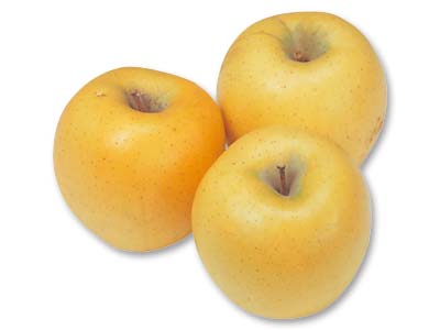 原さんのりんご(シナノゴールド) 800G写真