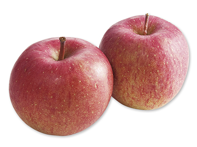 原俊朗・原明子さんのふじ(りんご) 550G写真