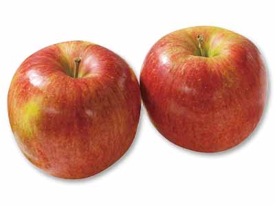 シナノスイート(りんご) 700G写真