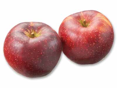 ◆酸味も楽しめる◆秋映(りんご) 450G写真