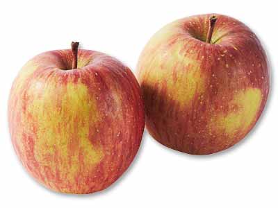 新農研の葉とらずふじ（りんご）　450G写真