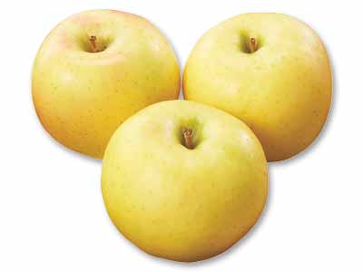 こうこう(りんご) 700G写真