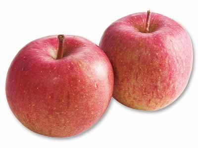 ふじ(りんご) 550G写真