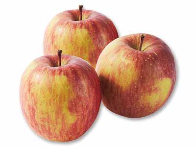 新農研の葉とらずふじ(りんご)・熊被害支援金付 800G写真