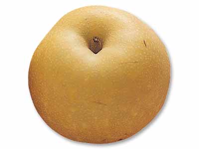 甘さしたたる南水(梨) 400G写真