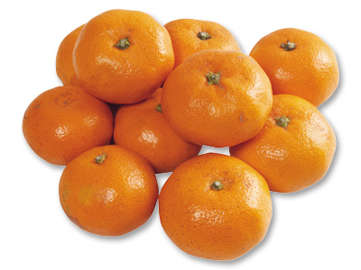 青島温州みかん　800G写真