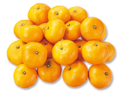 温州みかん 2KG写真