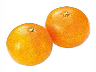 愛媛のまどんなみかん 500G写真