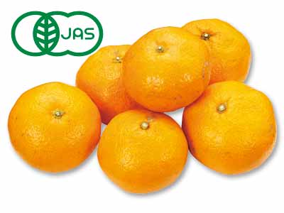 有機温州みかん 700G写真