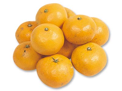 愛媛・無茶々園の温州みかん 700G写真