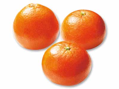 冬のコク甘みかん みはや 500G写真