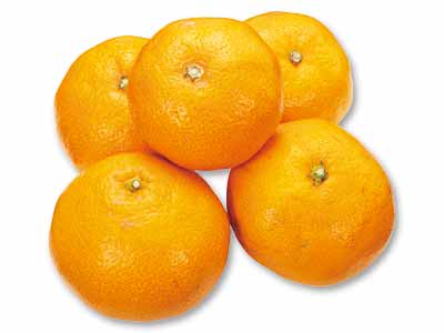 馬場さんの花子みかん 500G写真