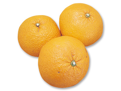 さわやか甘夏みかん　800G写真