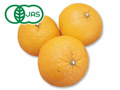 有機甘夏みかん　800G写真