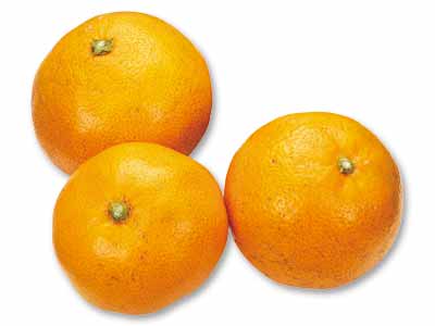 温州みかん 400G写真