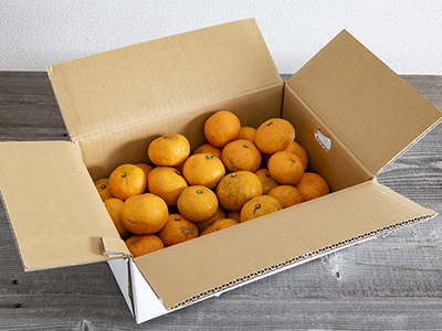 愛媛・無茶々園の温州みかん 3KG写真