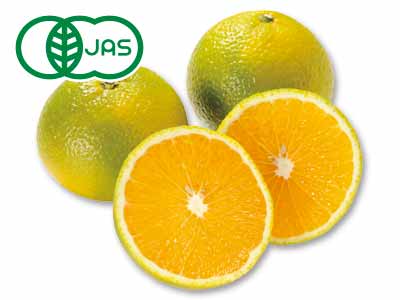 有機スイートスプリング 500G写真