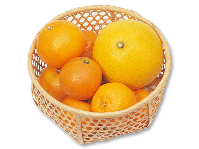 柑橘食べ比べセット写真