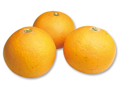 清見オレンジ　600G写真